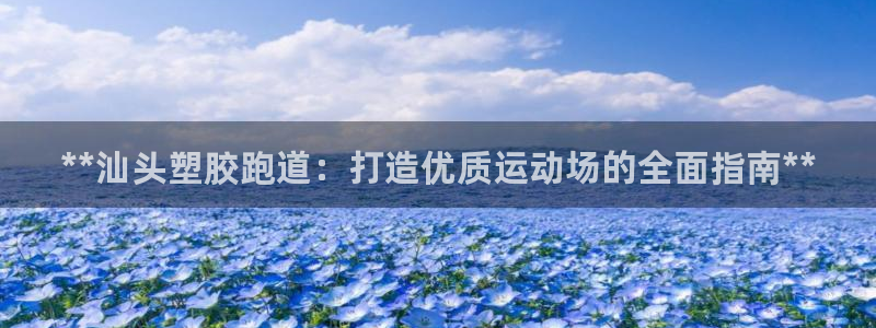 百度红足一1是什么样子的：**汕头塑胶跑道：打造优质运动场的全面指南**