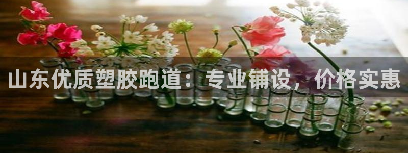 红足一1世比分球探：山东优质塑胶跑道：专业铺设，价格实惠