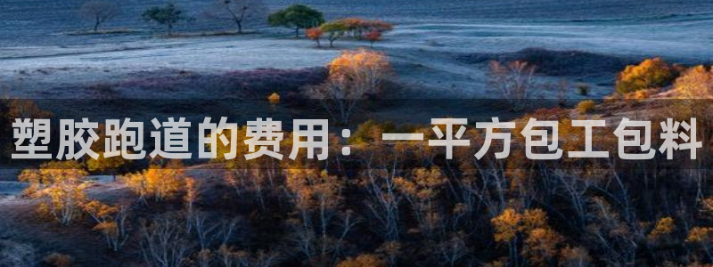 百度红足一1是干什么的:塑胶跑道的费用:一平方包工包料