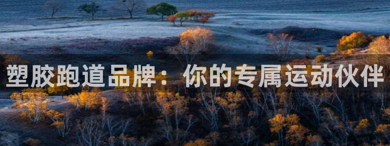 红足1一世：塑胶跑道品牌：你的专属运动伙伴