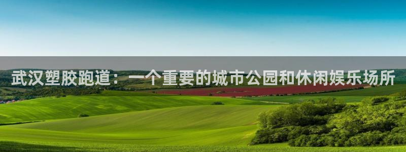 4633333开奖结果4176一点红：武汉塑胶跑道：一个重要的城市公园和休闲娱乐场所