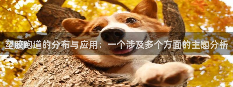 红足一1世即时比分:塑胶跑道的分布与应用:一个涉及多个方面的主题分析