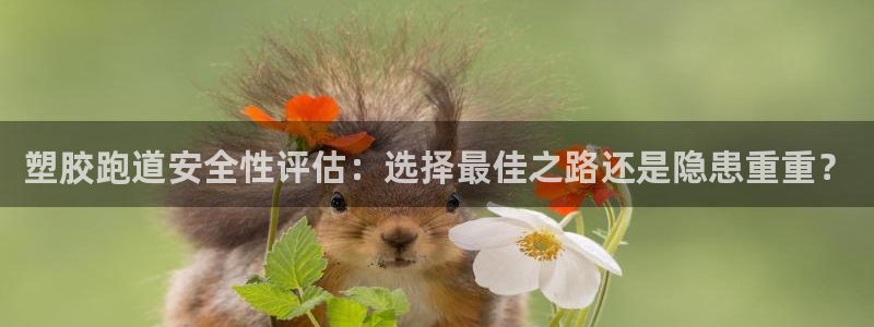 红足一1世比分网：塑胶跑道安全性评估：选择最佳之路还是隐患重重？