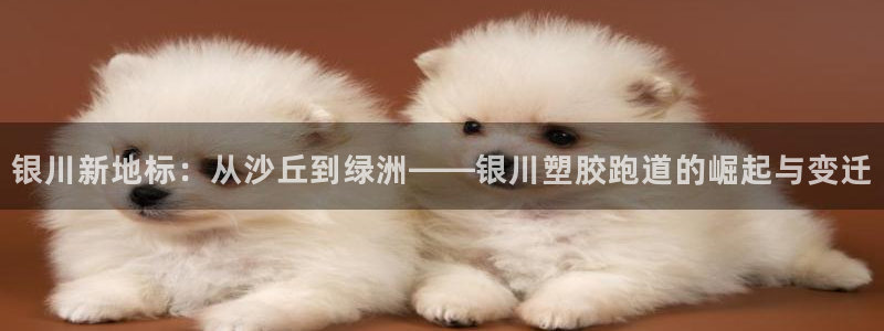 红足1世足球网址：银川新地标：从沙丘到绿洲——银川塑胶跑道的崛起与变迁