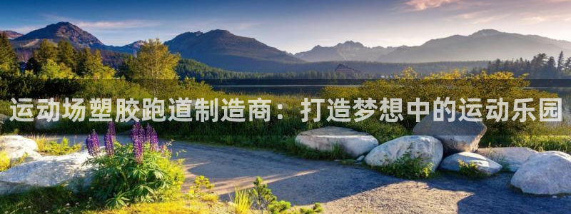 百度红足一1是干什么的:运动场塑胶跑道制造商:打造梦想中的运动乐园