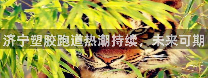 红足一比分网:济宁塑胶跑道热潮持续,未来可期