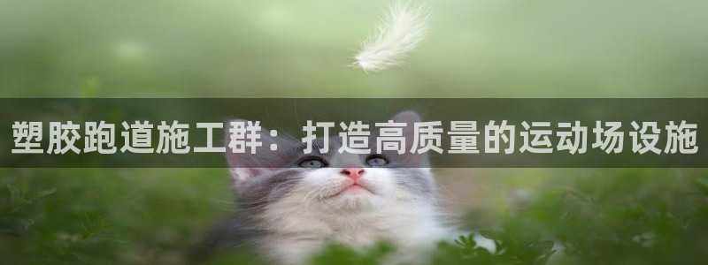 红足一一世：塑胶跑道施工群：打造高质量的运动场设施