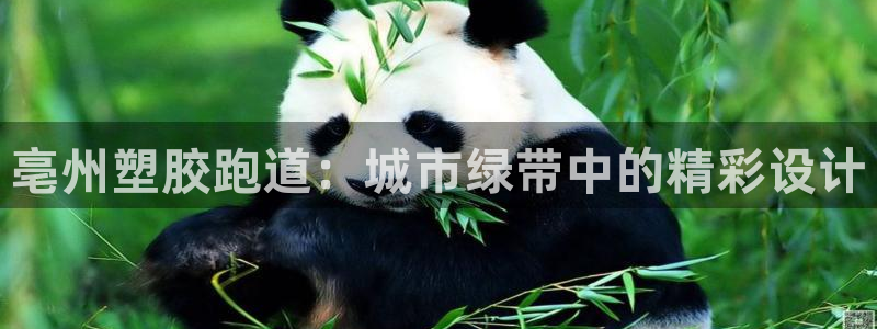 红足 世足球手机网：亳州塑胶跑道：城市绿带中的精彩设计