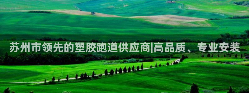 红足1一世红:苏州市领先的塑胶跑道供应商|高品质、专业安装