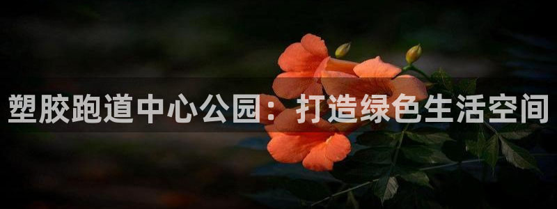 红足1一世红：塑胶跑道中心公园：打造绿色生活空间