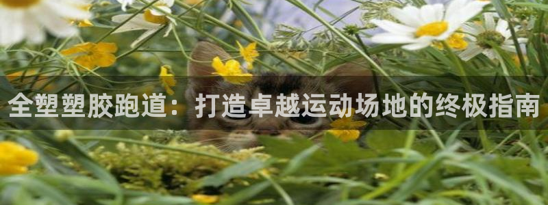 红足1世足球网址大全：全塑塑胶跑道：打造卓越运动场地的终极指南