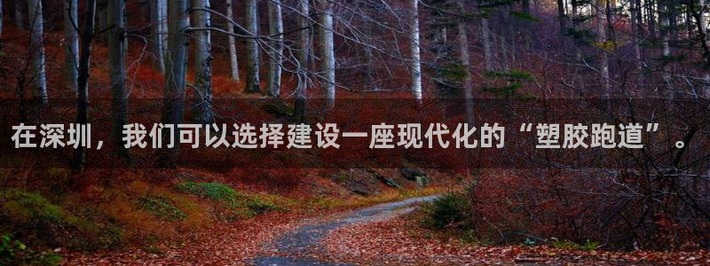 红足1世手机版下载:在深圳,我们可以选择建设一座现代化的“塑胶跑道”。