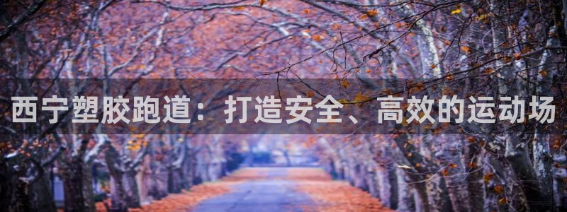 红足一1世666814最新结果：西宁塑胶跑道：打造安全、高效的运动场