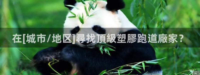 红足一1世手机版新皇冠：在[城市/地区]尋找頂級塑膠跑道廠家？