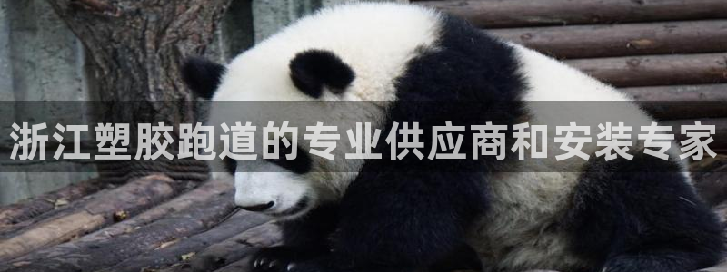 红足一生世：浙江塑胶跑道的专业供应商和安装专家