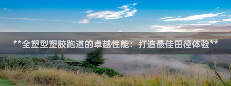 红足1世1站：**全塑型塑胶跑道的卓越性能：打造最佳田径体验**