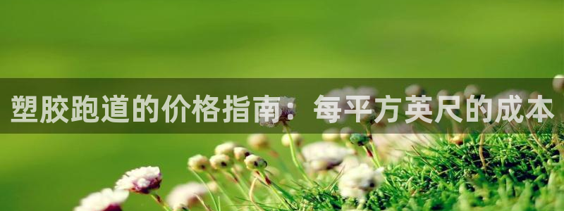 66814红足一66814世：塑胶跑道的价格指南：每平方英尺的成本