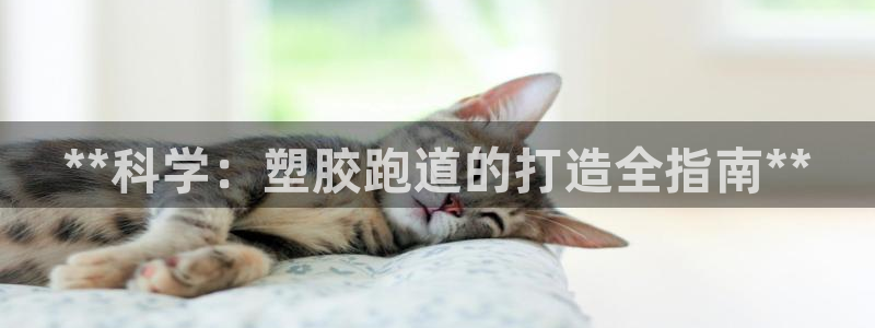 红足一一世足球网开奖记录：**科学：塑胶跑道的打造全指南**