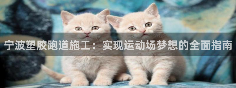 红足一比分网：宁波塑胶跑道施工：实现运动场梦想的全面指南