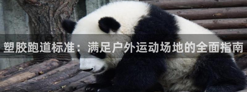 红足1一世 2站：塑胶跑道标准：满足户外运动场地的全面指南