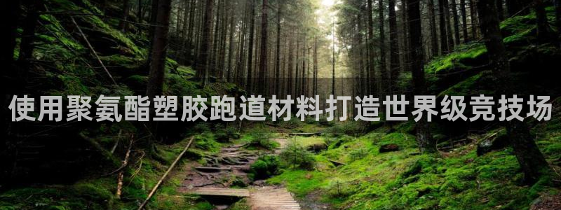 百度红足一1使用说明:使用聚氨酯塑胶跑道材料打造世界级竞技场