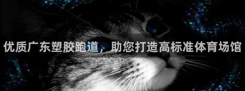 红足网足球直播：优质广东塑胶跑道，助您打造高标准体育场馆