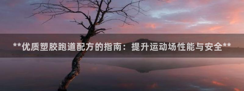 红足1世足球比分网址：**优质塑胶跑道配方的指南：提升运动场性能与安全**