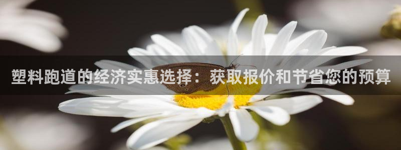 红足网足球直播：塑料跑道的经济实惠选择：获取报价和节省您的预算