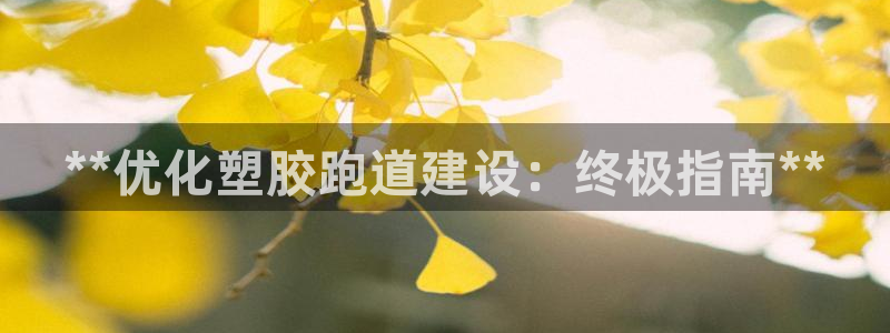 红足一丰:**优化塑胶跑道建设:终极指南**