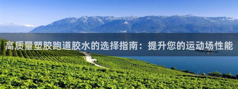 红足一球：高质量塑胶跑道胶水的选择指南：提升您的运动场性能