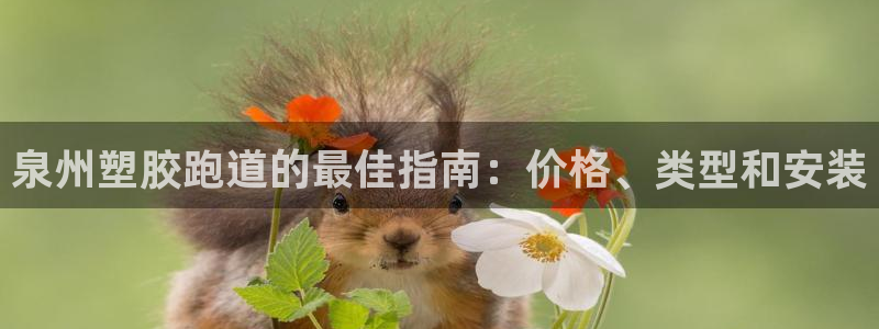 66814红足一66814世:泉州塑胶跑道的最佳指南:价格、类型和安装