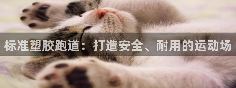 红足l一世开奖现场62ty：标准塑胶跑道：打造安全、耐用的运动场