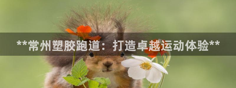 红足1世1站:**常州塑胶跑道:打造卓越运动体验**