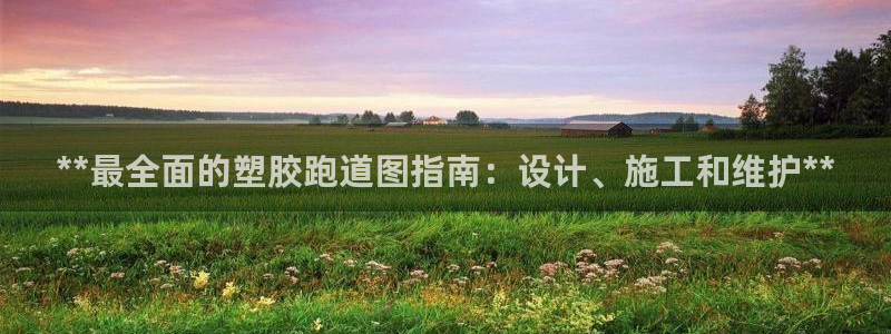 红足一生世：**最全面的塑胶跑道图指南：设计、施工和维护**