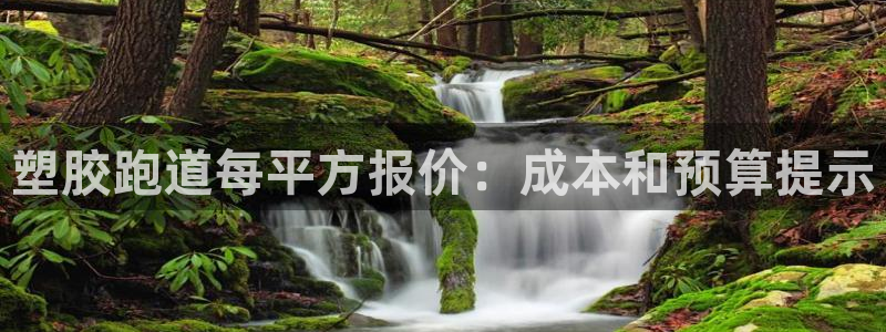 红足l一世开奖现场62ty：塑胶跑道每平方报价：成本和预算提示