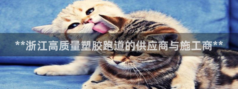 红足1一世开奖版:**浙江高质量塑胶跑道的供应商与施工商**