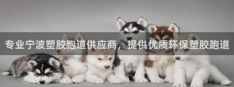 红足1世足球比分网址：专业宁波塑胶跑道供应商，提供优质环保塑胶跑道