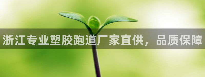 红足1世足球网址:浙江专业塑胶跑道厂家直供,品质保障