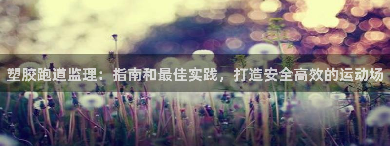 红足1世足球网址大全：塑胶跑道监理：指南和最佳实践，打造安全高效的运动场