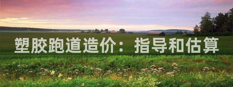 红足1一世 2站：塑胶跑道造价：指导和估算