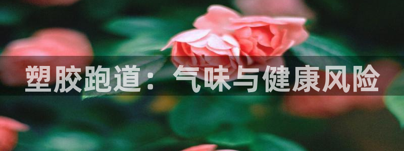 44814红足：塑胶跑道：气味与健康风险