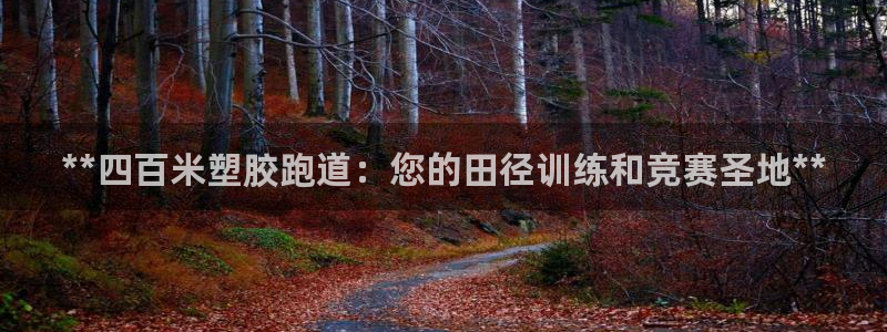 红足一比分网：**四百米塑胶跑道：您的田径训练和竞赛圣地**