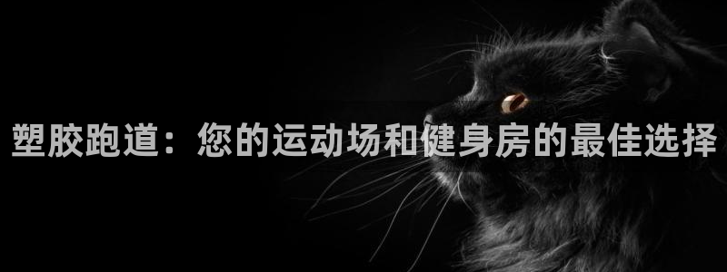 红足1一世 2站:塑胶跑道:您的运动场和健身房的最佳选择