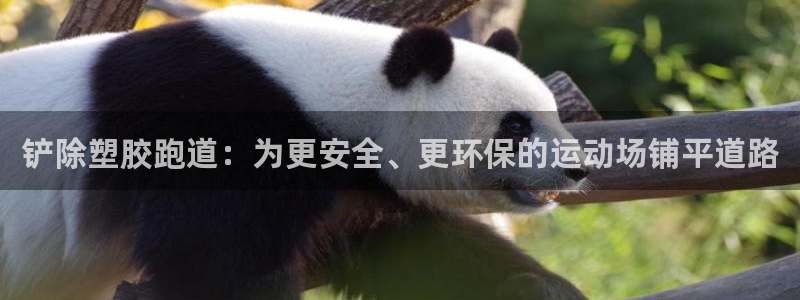 红姐现场直播开奖记录：铲除塑胶跑道：为更安全、更环保的运动场铺平道路