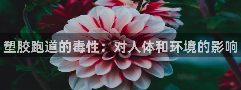 红足一一世：塑胶跑道的毒性：对人体和环境的影响