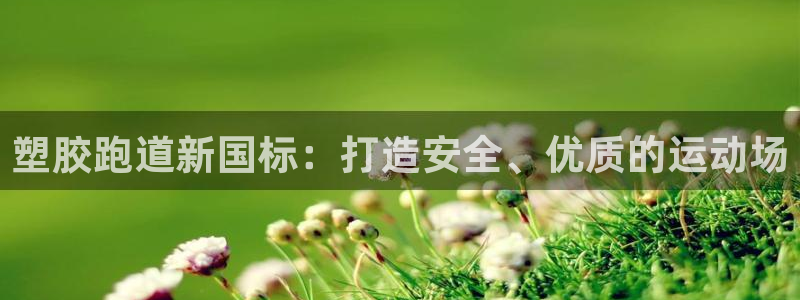 红姐现场直播开奖记录：塑胶跑道新国标：打造安全、优质的运动场