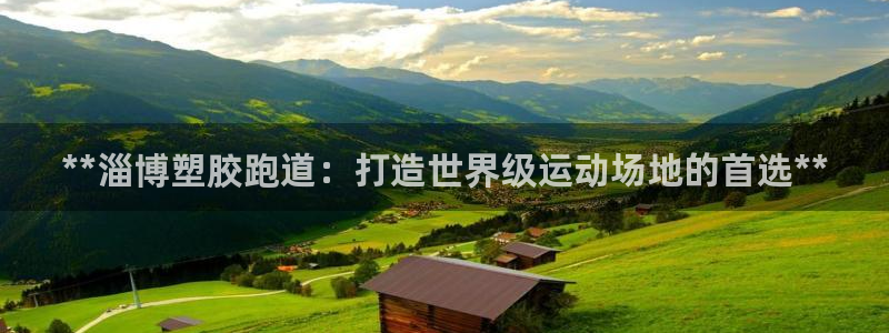 红足体育网:**淄博塑胶跑道:打造世界级运动场地的首选**