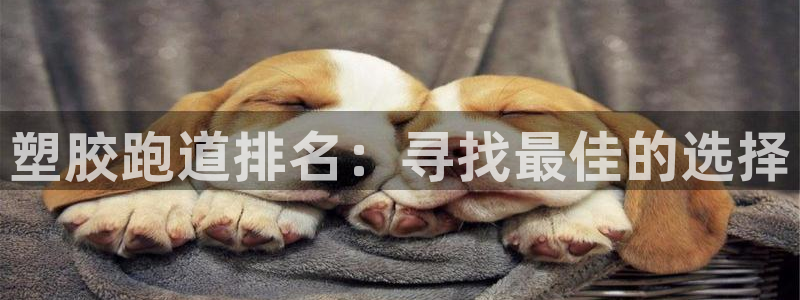 红足一1世官网：塑胶跑道排名：寻找最佳的选择