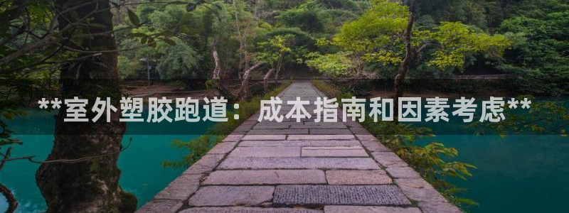 百度红足一1视频在线观看：**室外塑胶跑道：成本指南和因素考虑**