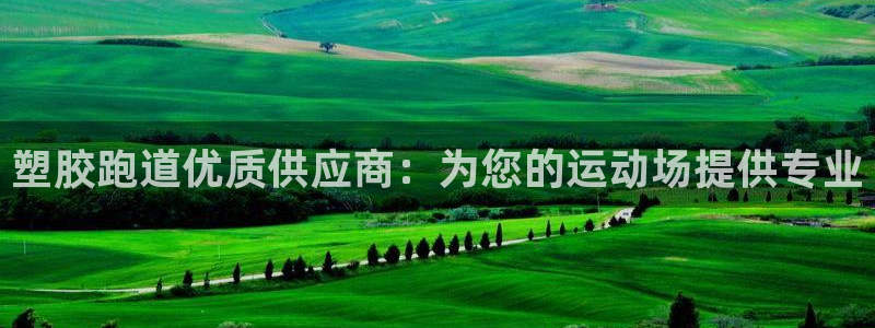 红足1世手机板：塑胶跑道优质供应商：为您的运动场提供专业